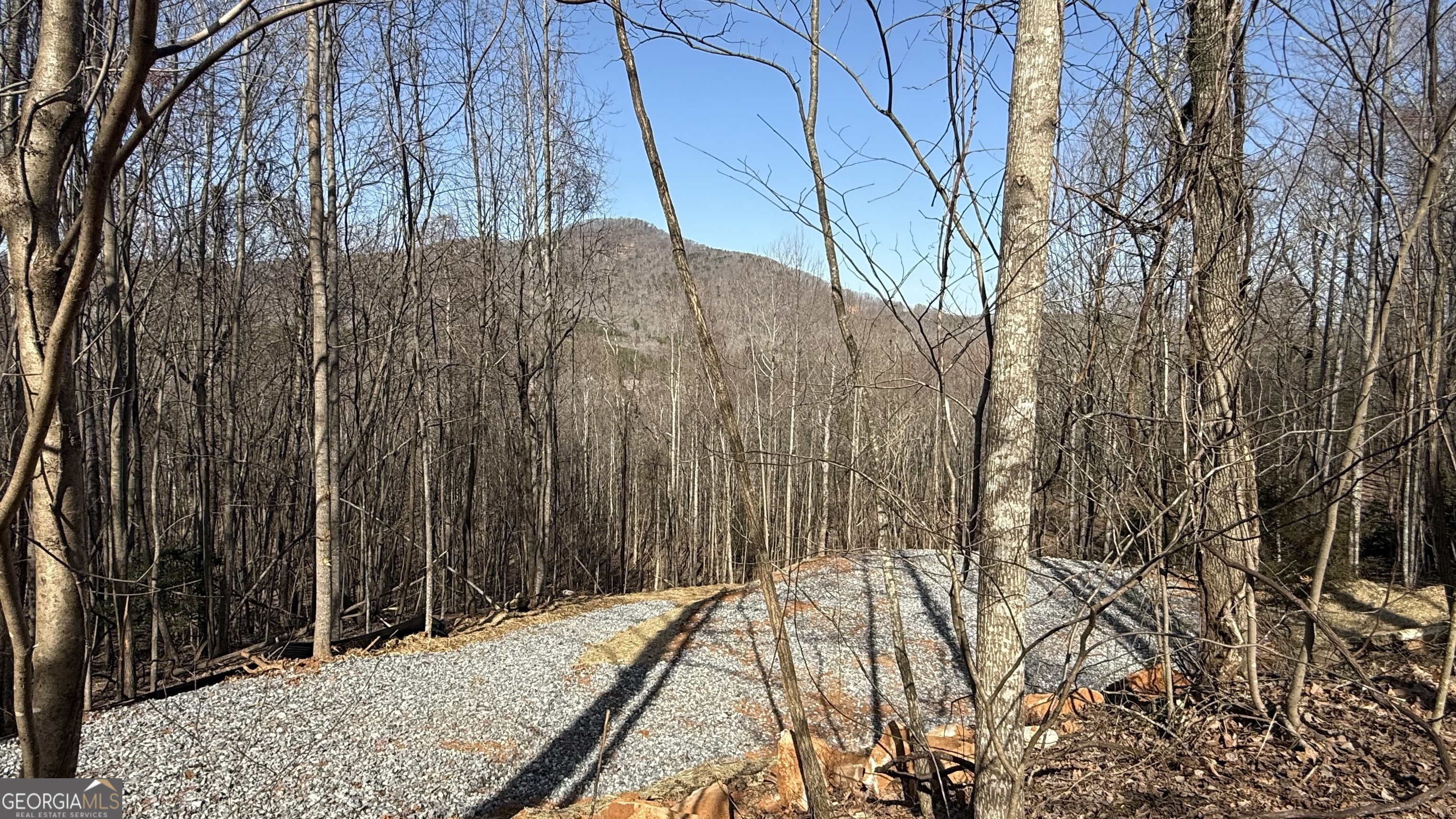 Lot 17 Chalet Sautee Nacoochee GA 30571