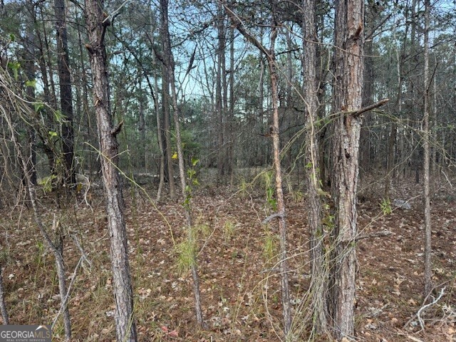 0 Pelican Cove Midway GA 31320