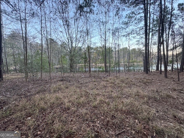 0 Pelican Cove Midway GA 31320