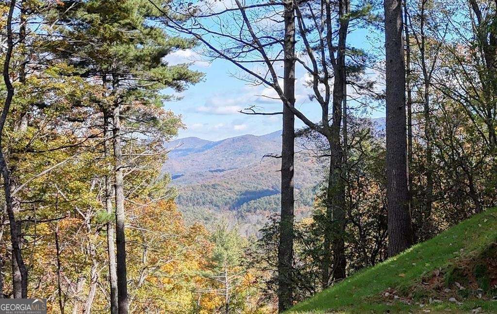 Lot 8 Cindy Cove Blairsville GA 30512