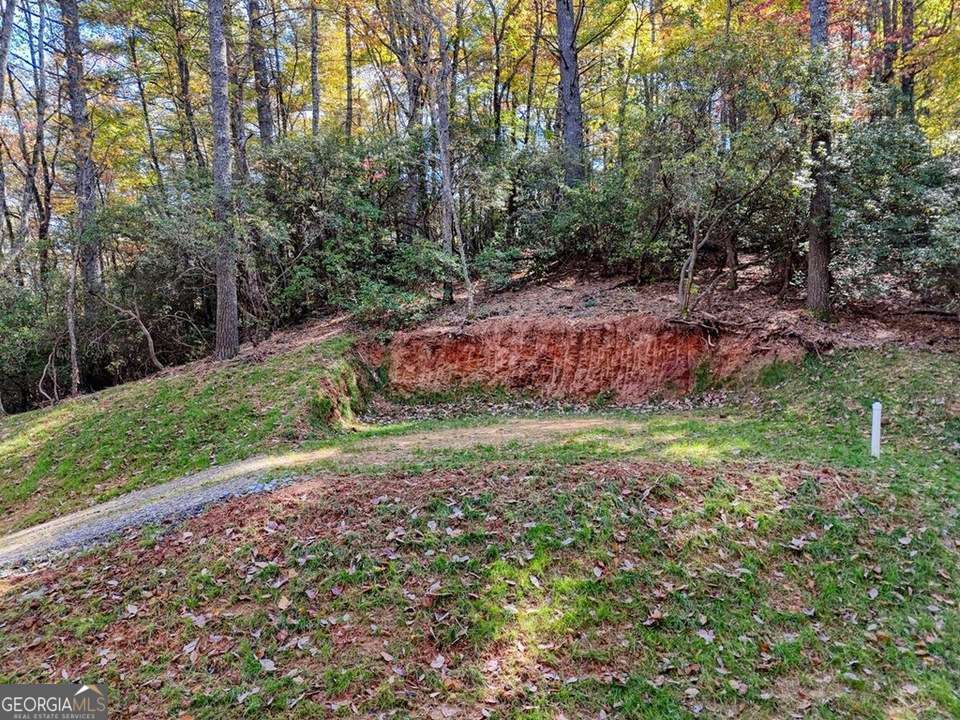 Lot 8 Cindy Cove Blairsville GA 30512