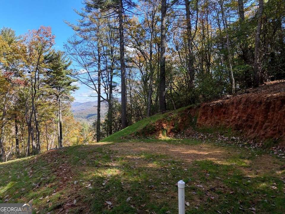 Lot 8 Cindy Cove Blairsville GA 30512