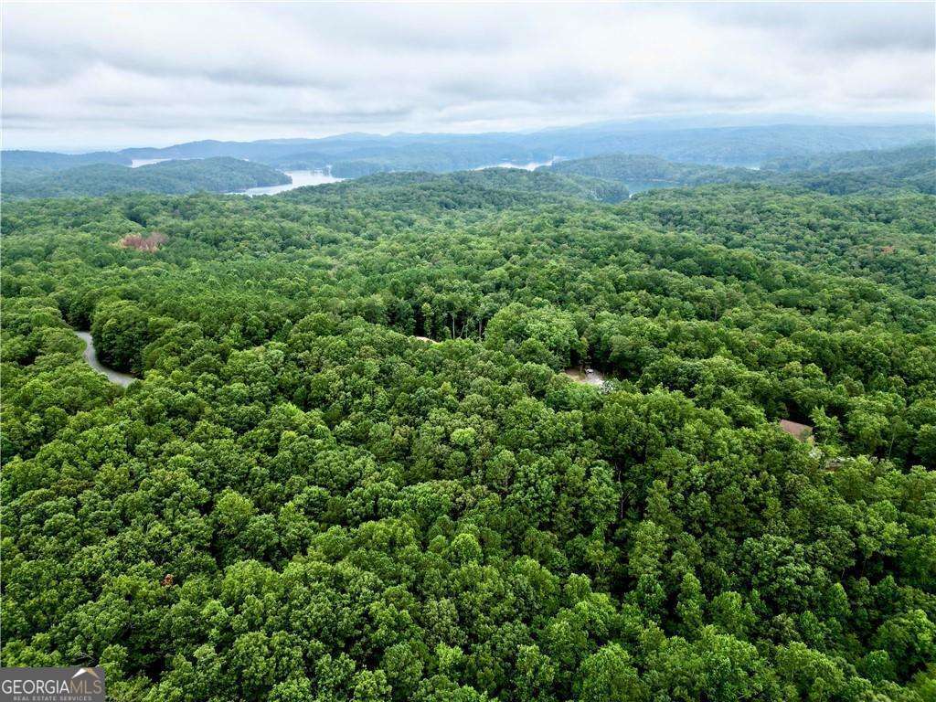 0 S Twin Oaks Drive Ellijay GA 30540
