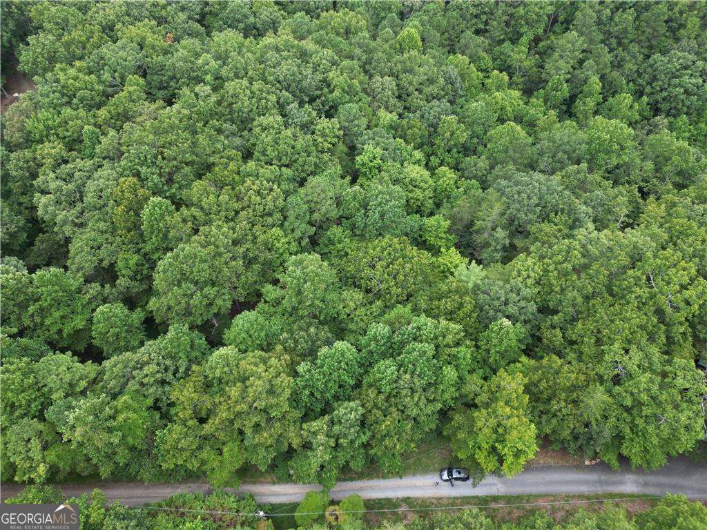0 S Twin Oaks Drive Ellijay GA 30540