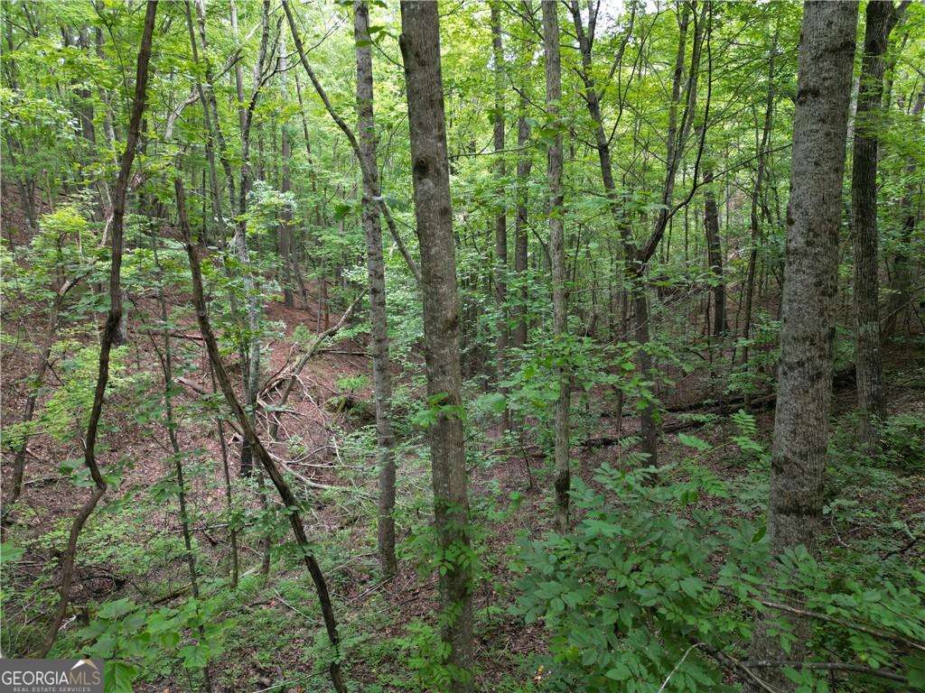 0 S Twin Oaks Drive Ellijay GA 30540
