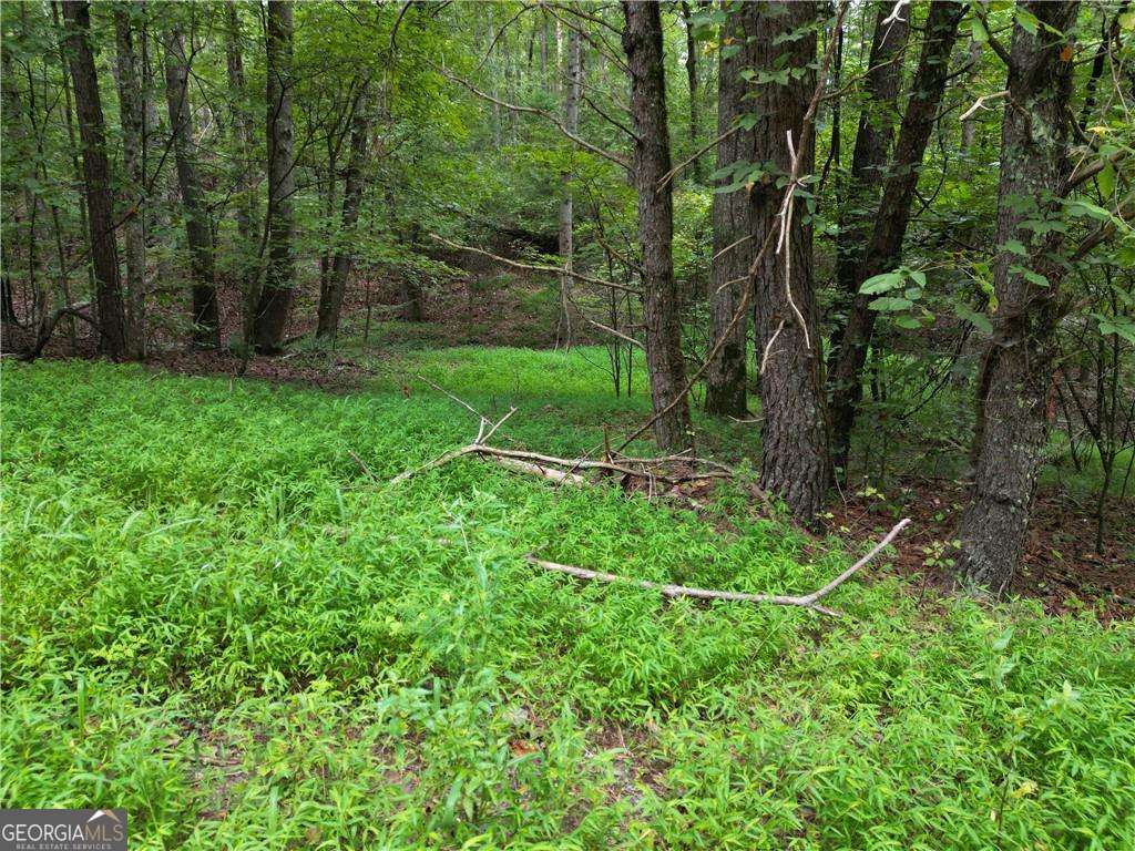 0 S Twin Oaks Drive Ellijay GA 30540