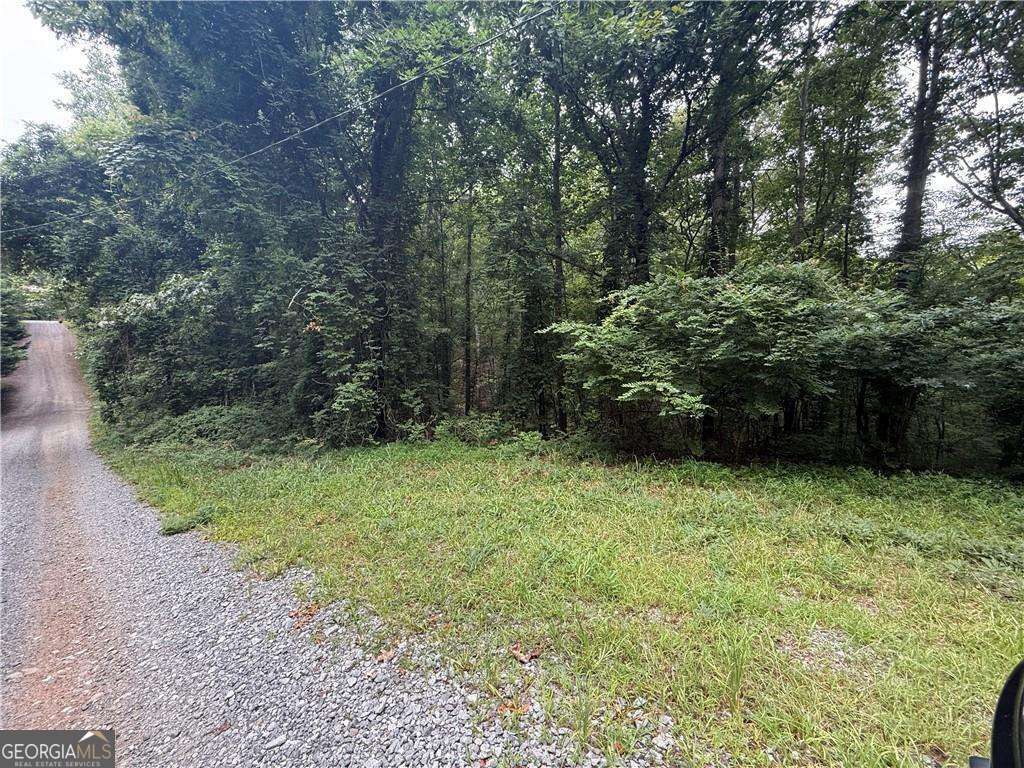0 S Twin Oaks Drive Ellijay GA 30540