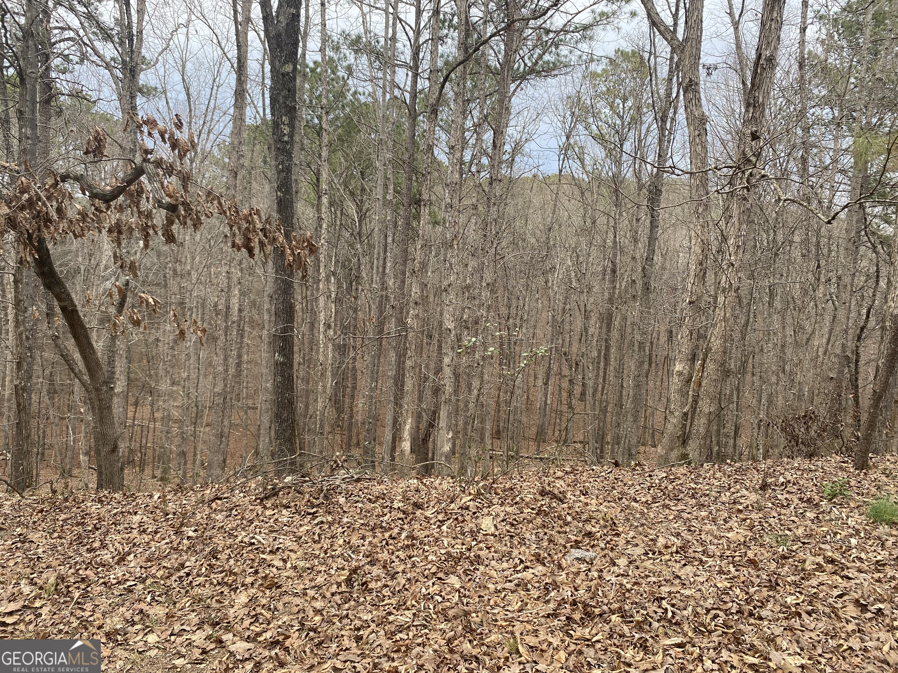 0 Warwick Way Rome GA 30161