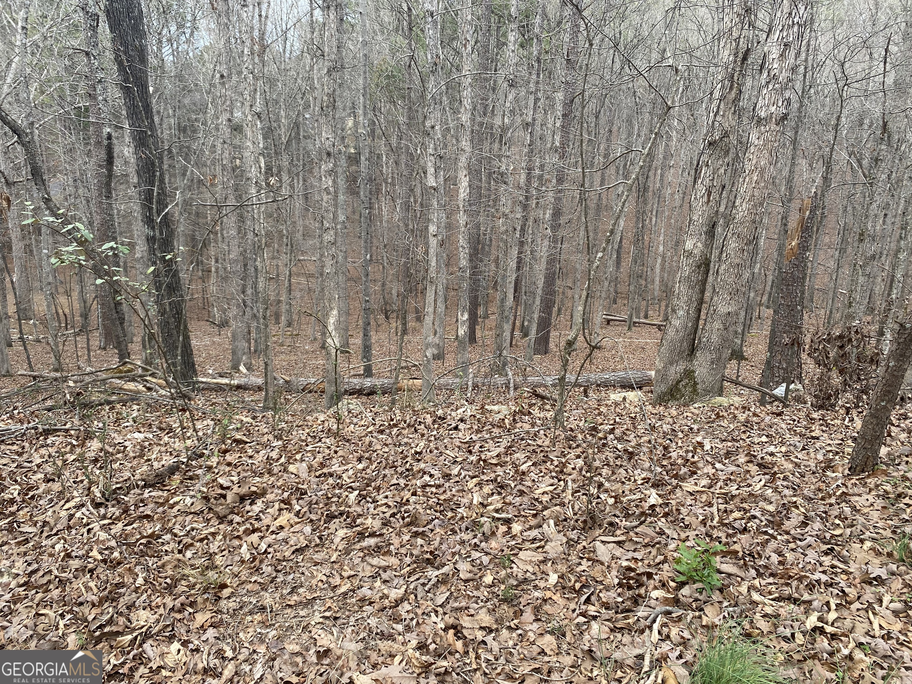 0 Warwick Way Rome GA 30161
