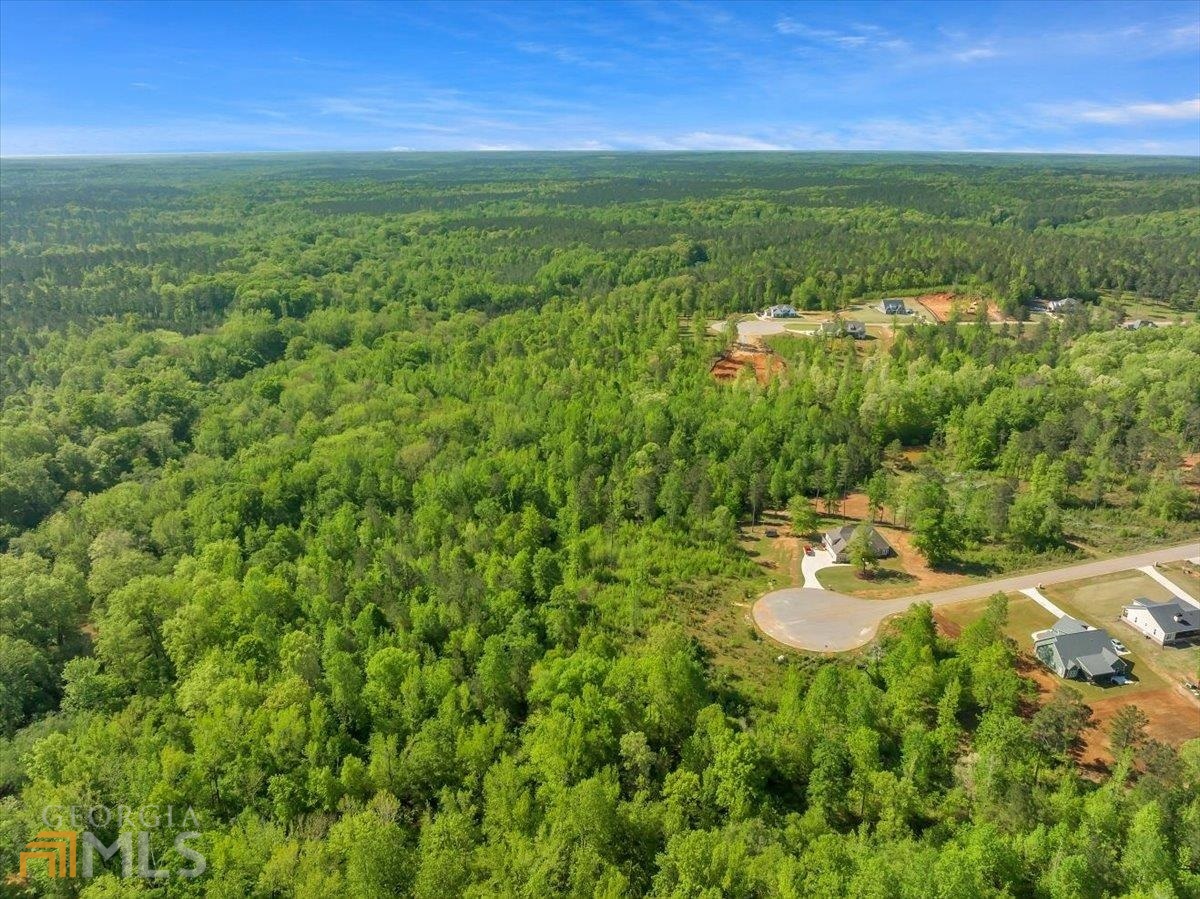 Lot 15-a-1 Creekside Lane Forsyth GA 31029