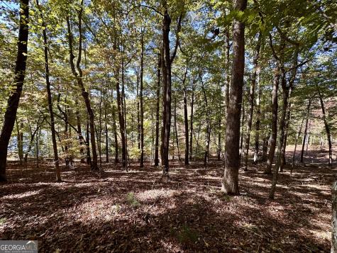 29 Forked Leaf Road Cleveland GA 30528