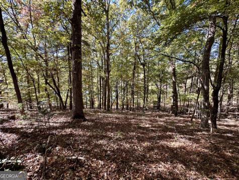 29 Forked Leaf Road Cleveland GA 30528