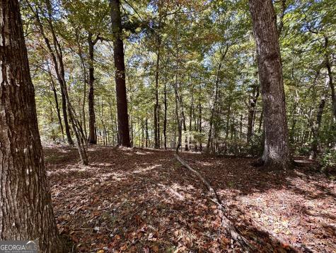 29 Forked Leaf Road Cleveland GA 30528