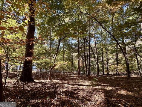 29 Forked Leaf Road Cleveland GA 30528