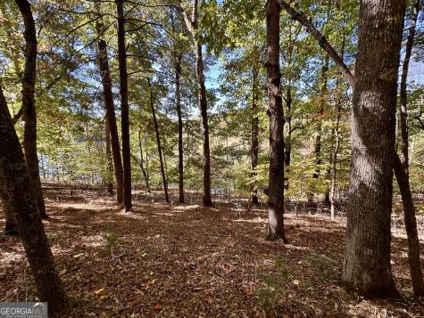 29 Forked Leaf Road Cleveland GA 30528