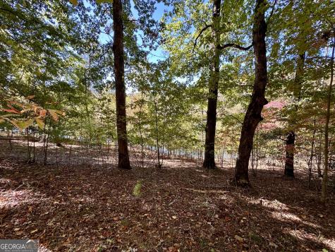 29 Forked Leaf Road Cleveland GA 30528