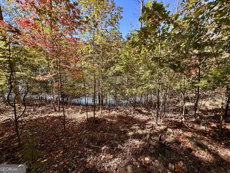 29 Forked Leaf Road Cleveland GA 30528