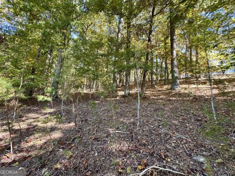 29 Forked Leaf Road Cleveland GA 30528