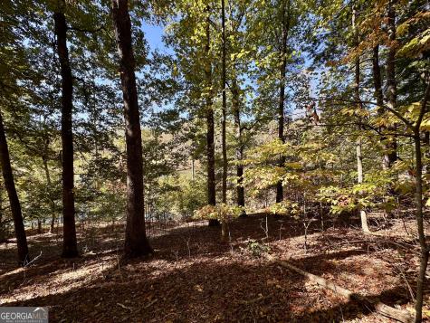 29 Forked Leaf Road Cleveland GA 30528