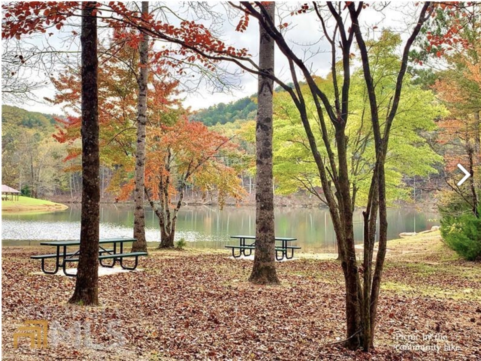 838 Trinton Drive Ranger GA 30734