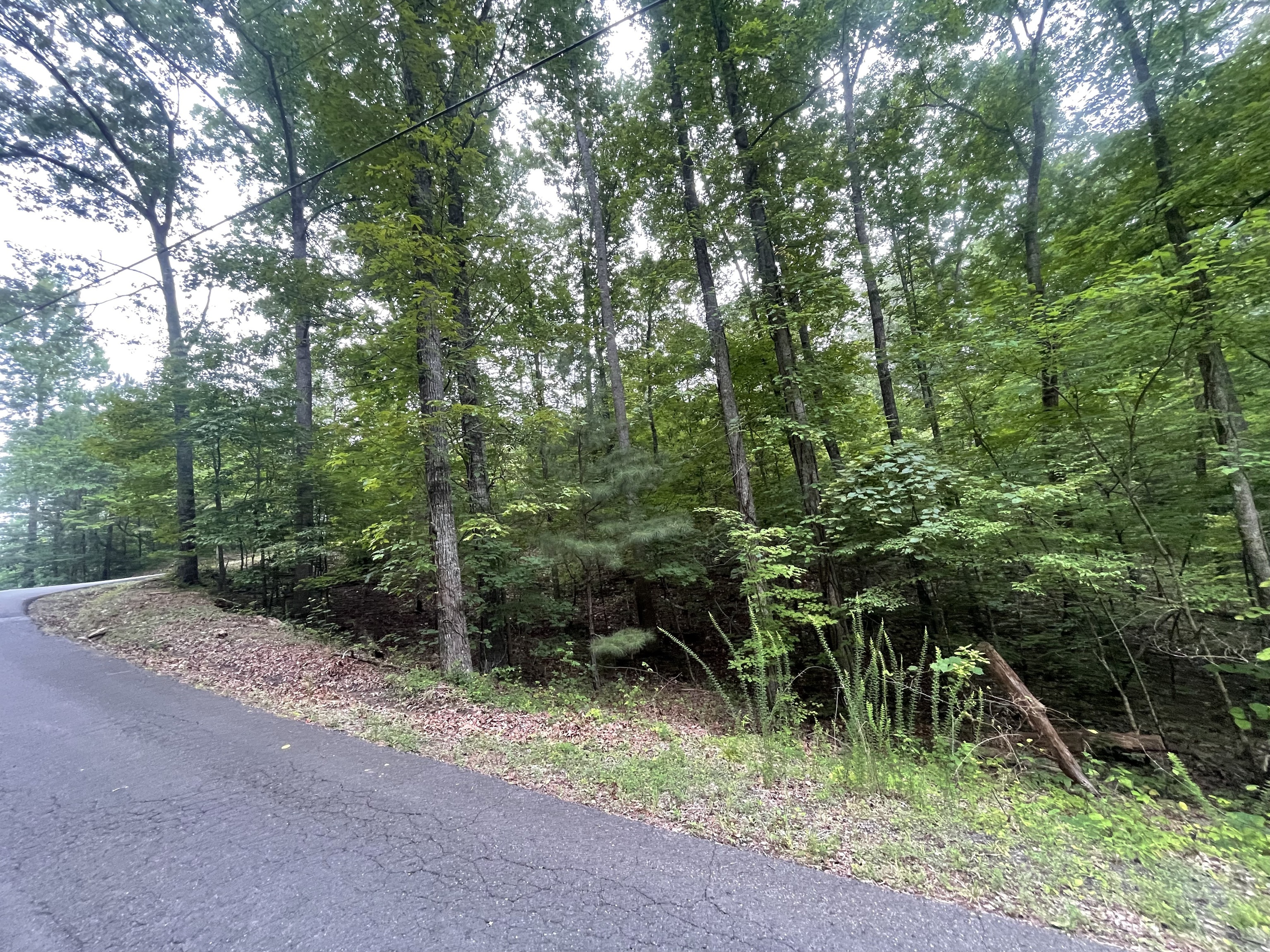 838 Trinton Drive Ranger GA 30734