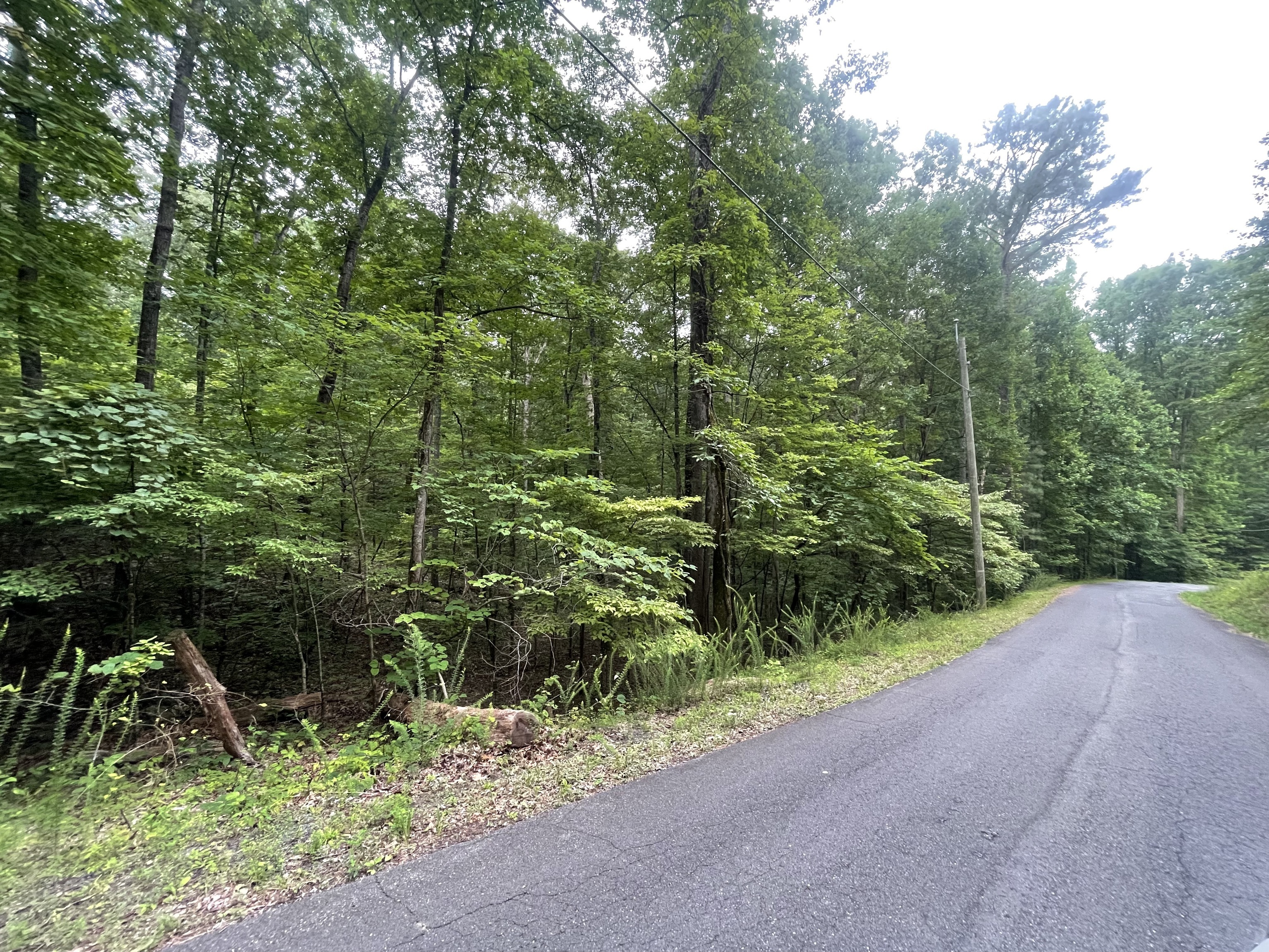 838 Trinton Drive Ranger GA 30734