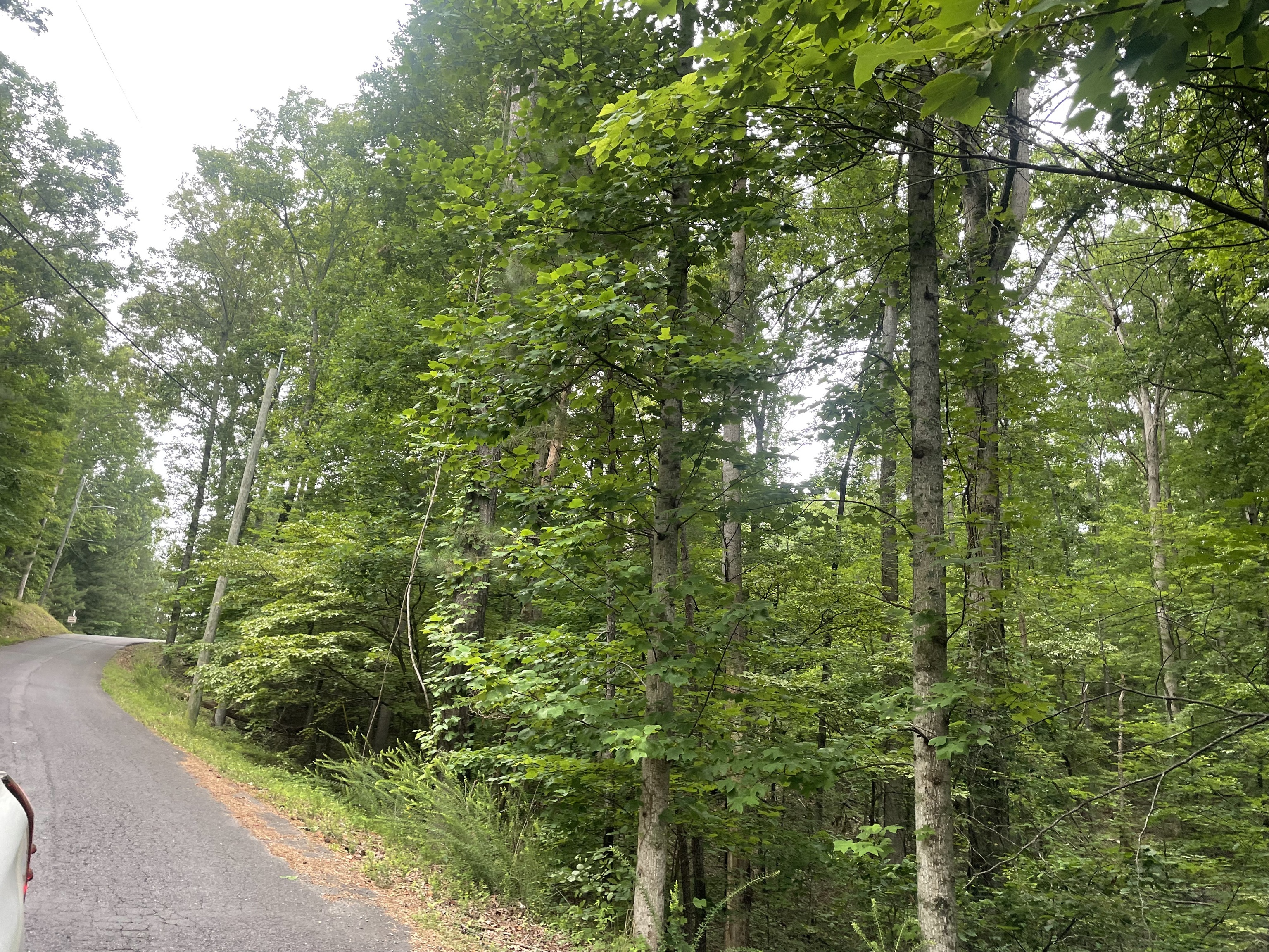 838 Trinton Drive Ranger GA 30734