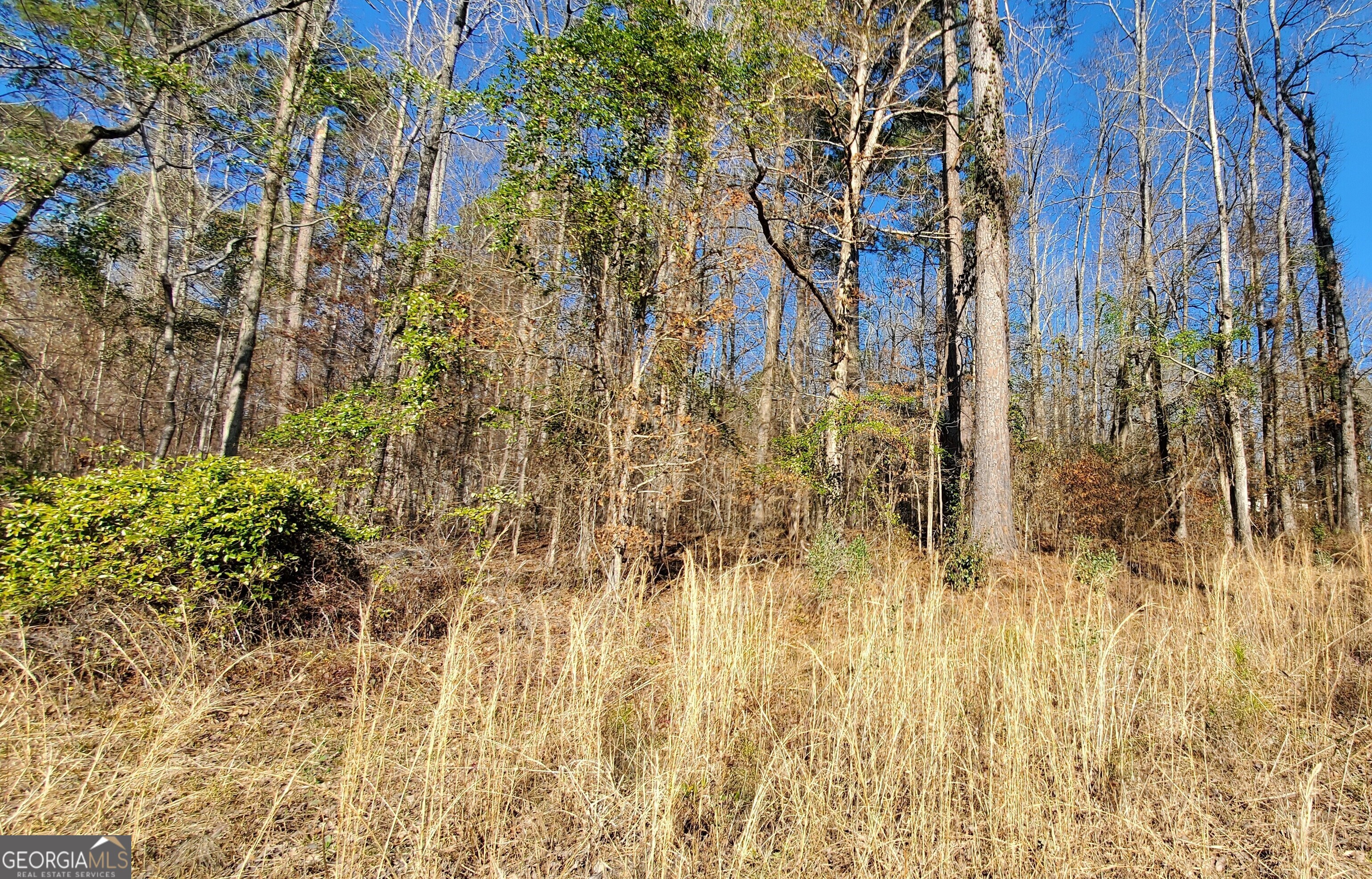 Lot 184 Southern Shores Road Jackson GA 30233