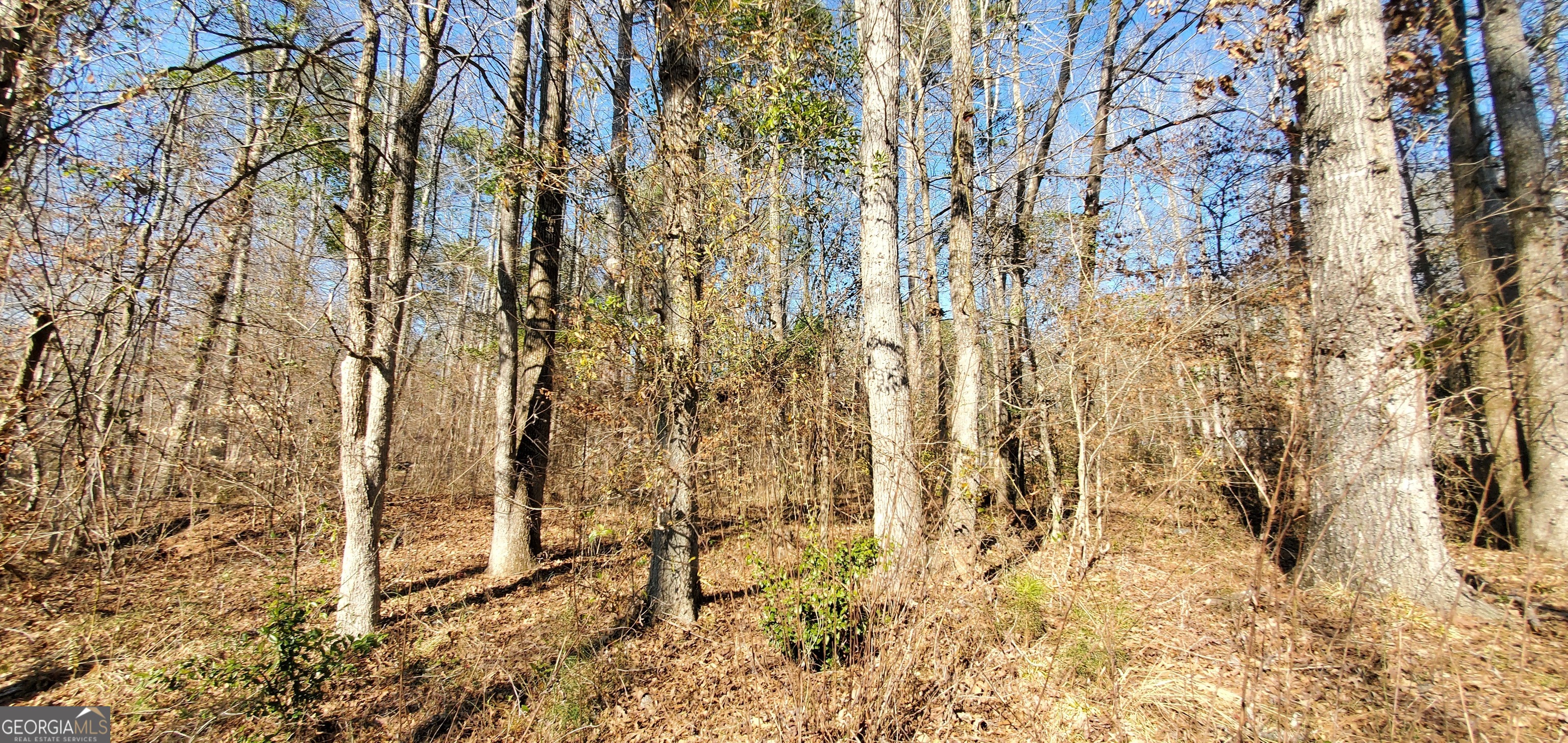 Lot 184 Southern Shores Road Jackson GA 30233