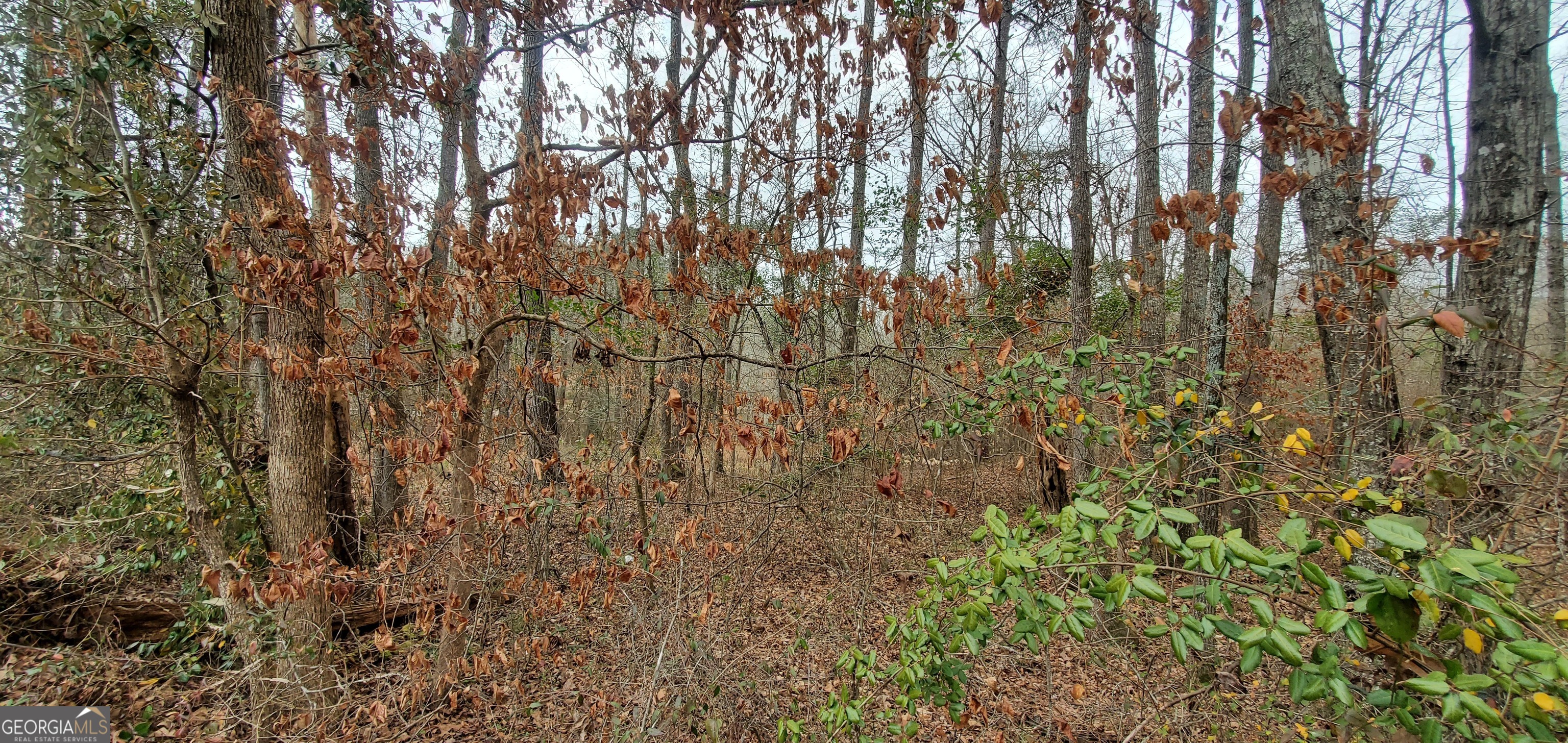 Lot 184 Southern Shores Road Jackson GA 30233