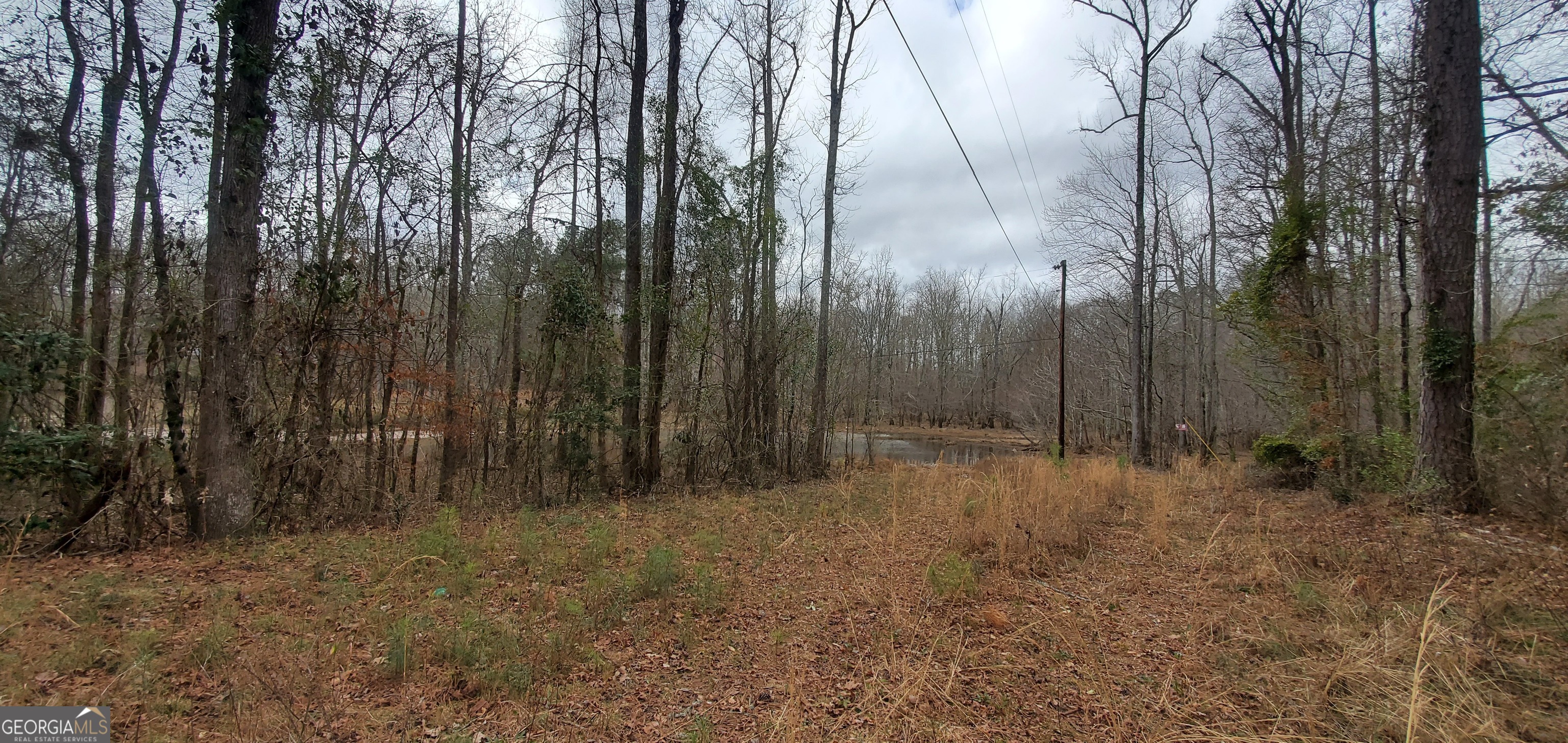 Lot 184 Southern Shores Road Jackson GA 30233