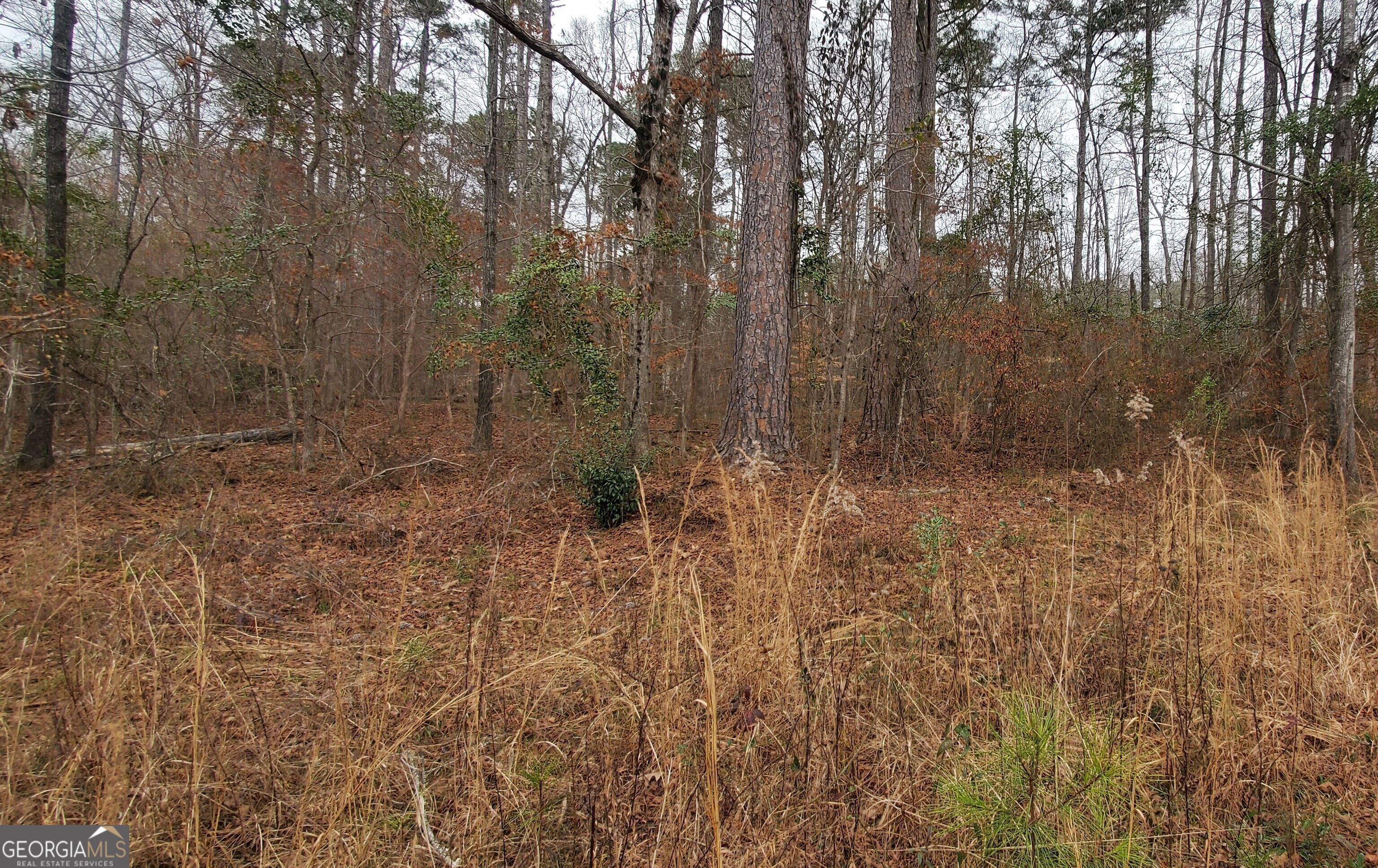 Lot 184 Southern Shores Road Jackson GA 30233