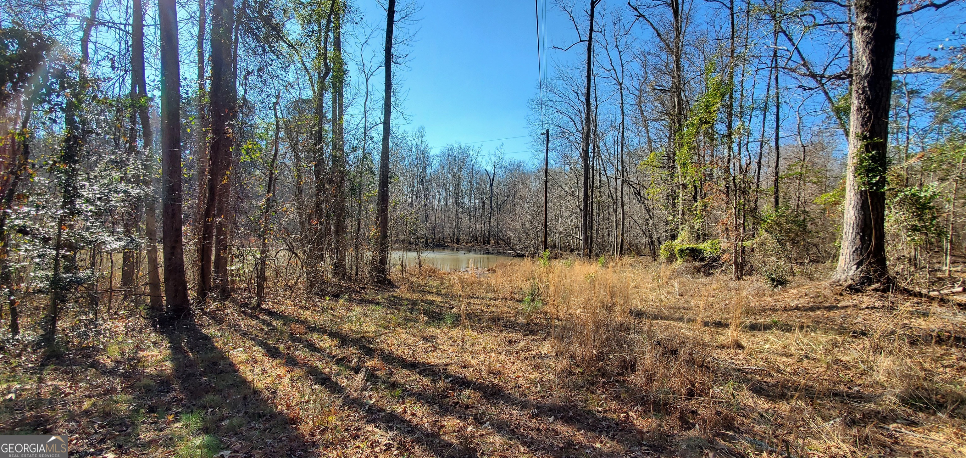 Lot 184 Southern Shores Road Jackson GA 30233