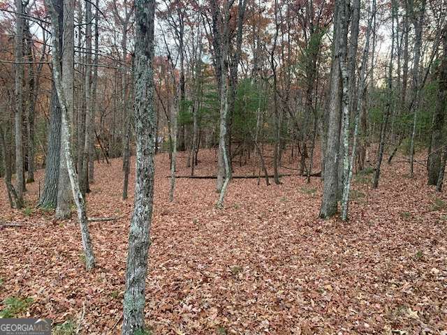 Lot 4 Courtney Lane Blairsville GA 30512