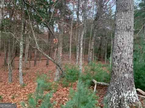 Lot 4 Courtney Lane Blairsville GA 30512