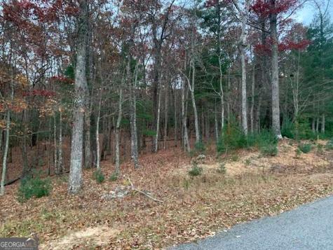 Lot 4 Courtney Lane Blairsville GA 30512