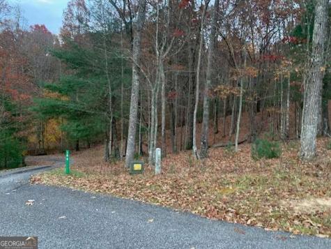 Lot 4 Courtney Lane Blairsville GA 30512
