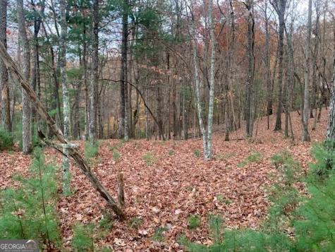 Lot 4 Courtney Lane Blairsville GA 30512
