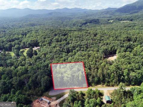 Lot 4 Courtney Lane Blairsville GA 30512