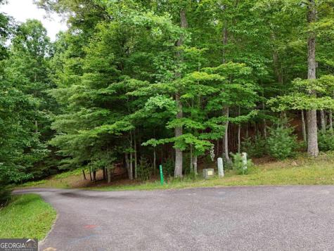 Lot 4 Courtney Lane Blairsville GA 30512