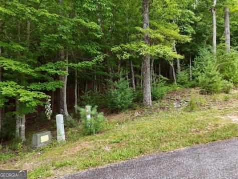 Lot 4 Courtney Lane Blairsville GA 30512