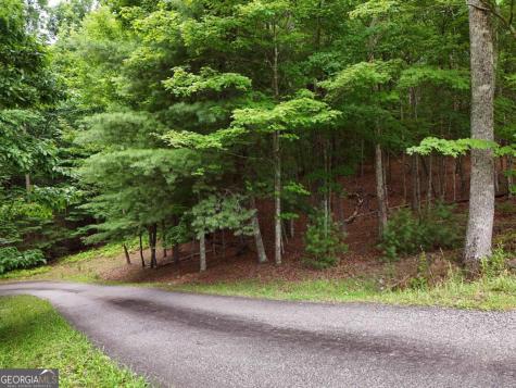 Lot 4 Courtney Lane Blairsville GA 30512