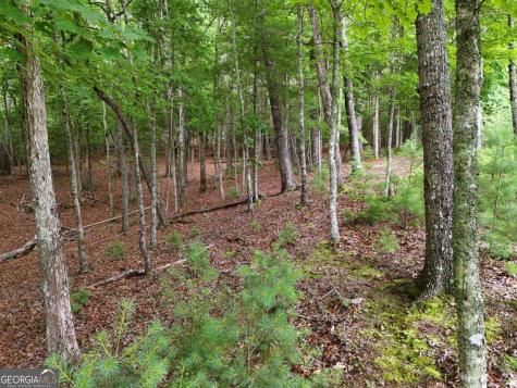 Lot 4 Courtney Lane Blairsville GA 30512