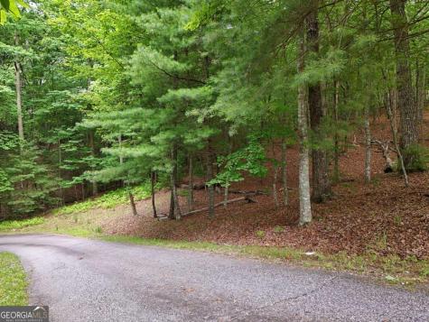 Lot 4 Courtney Lane Blairsville GA 30512