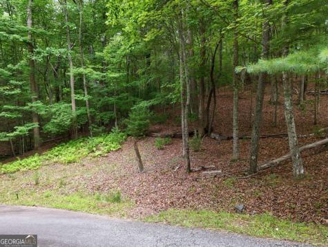 Lot 4 Courtney Lane Blairsville GA 30512