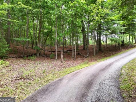Lot 4 Courtney Lane Blairsville GA 30512