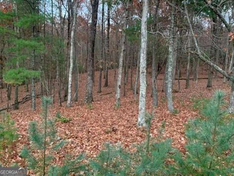 Lot 4 Courtney Lane Blairsville GA 30512