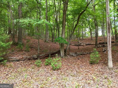 Lot 4 Courtney Lane Blairsville GA 30512