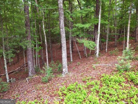 Lot 4 Courtney Lane Blairsville GA 30512
