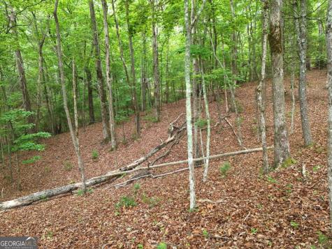 Lot 4 Courtney Lane Blairsville GA 30512